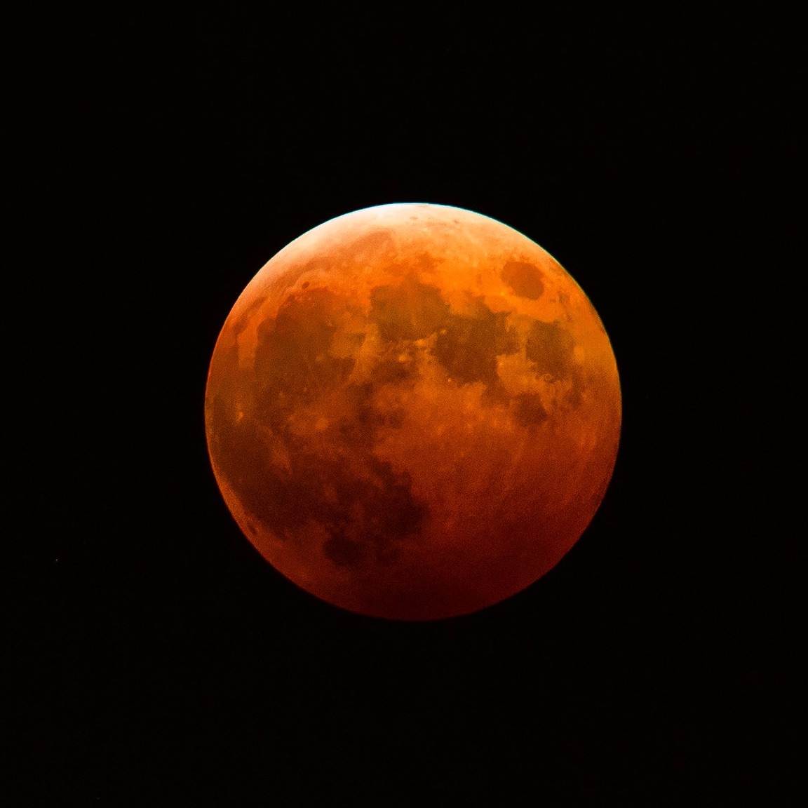 a0285596_3393224.jpg