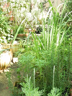 c0152002_17524485.jpg
