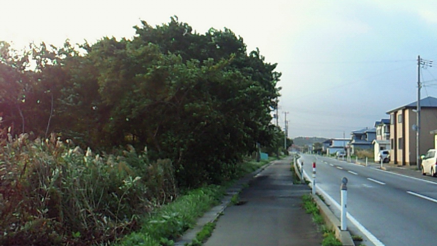 d0149105_7493064.jpg