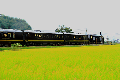 b0014607_15345362.jpg