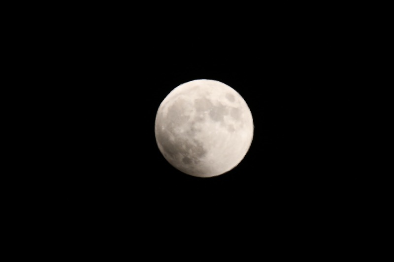 c0047115_14584414.jpg