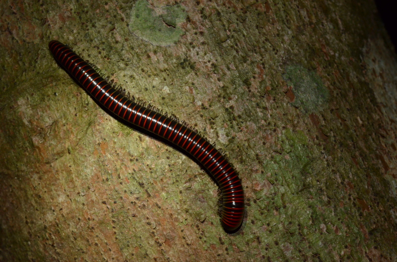 b0338817_23050790.jpg