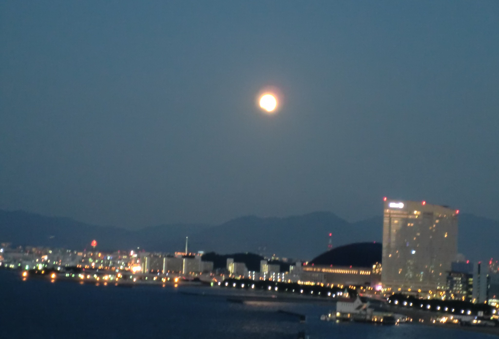 c0095424_1664957.jpg