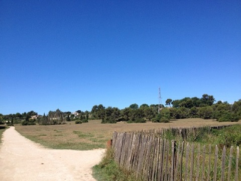 a0268429_23422724.jpg