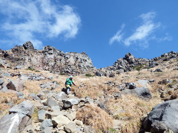 f0118332_111931.jpg