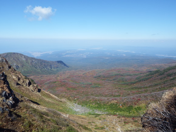 f0118332_132499.jpg