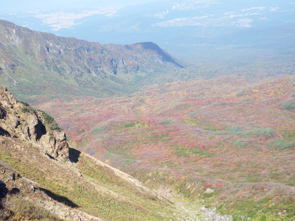 f0118332_14617.jpg