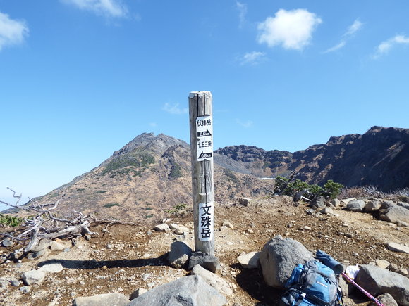 f0118332_15657.jpg