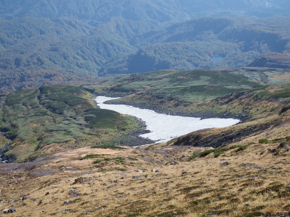 f0118332_192462.jpg