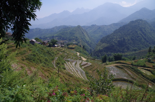 c0337541_13375649.jpg