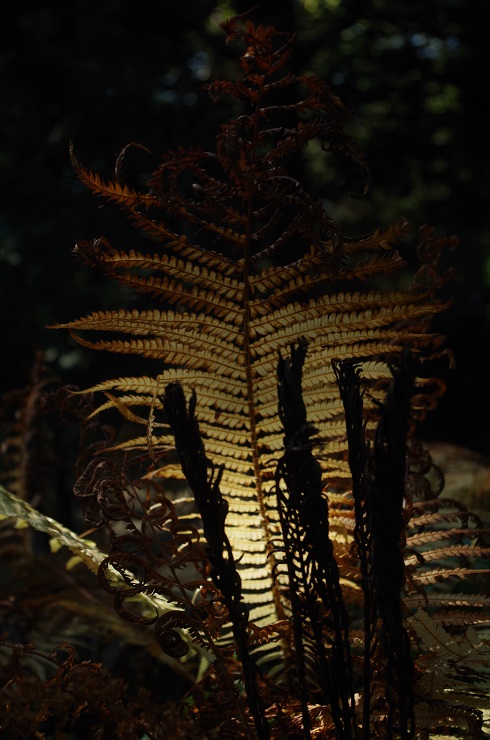 d0165741_2227247.jpg
