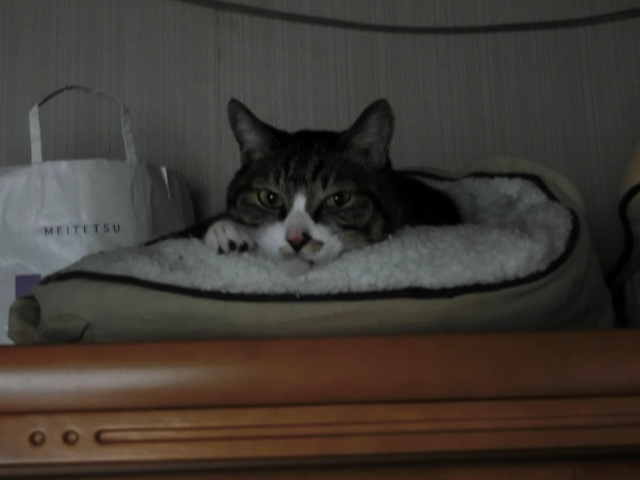 c0194042_22253191.jpg