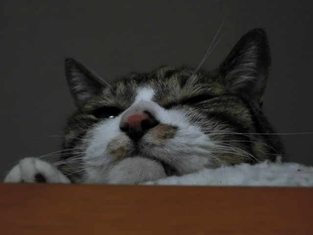 c0194042_22263559.jpg