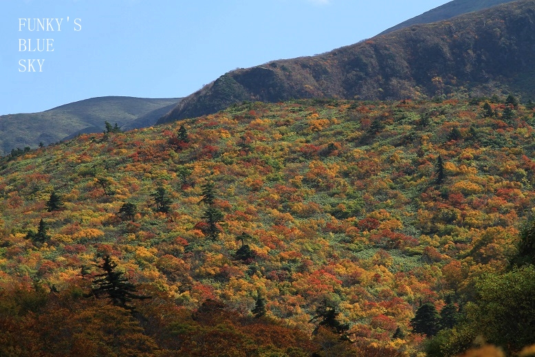 c0145250_119090.jpg