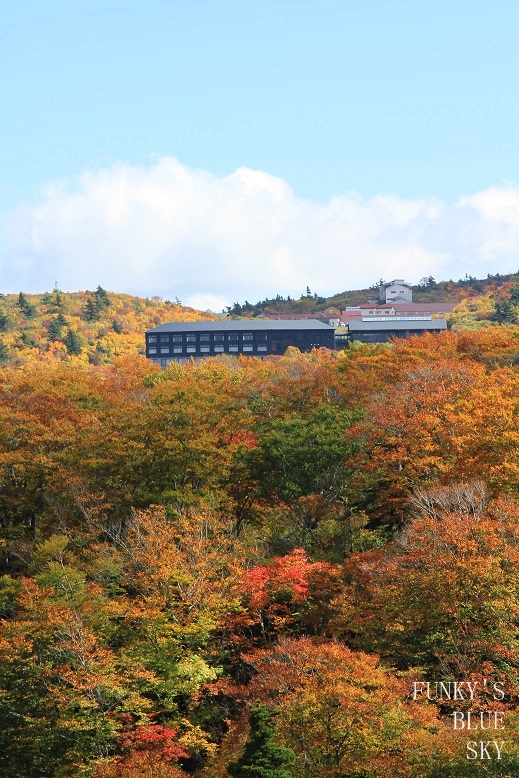 c0145250_11966.jpg