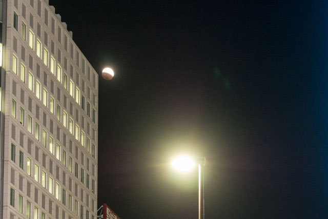 a0040251_8515372.jpg