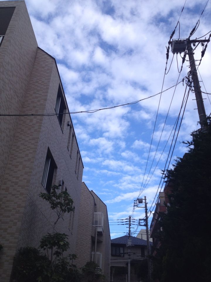 b0021251_7452236.jpg