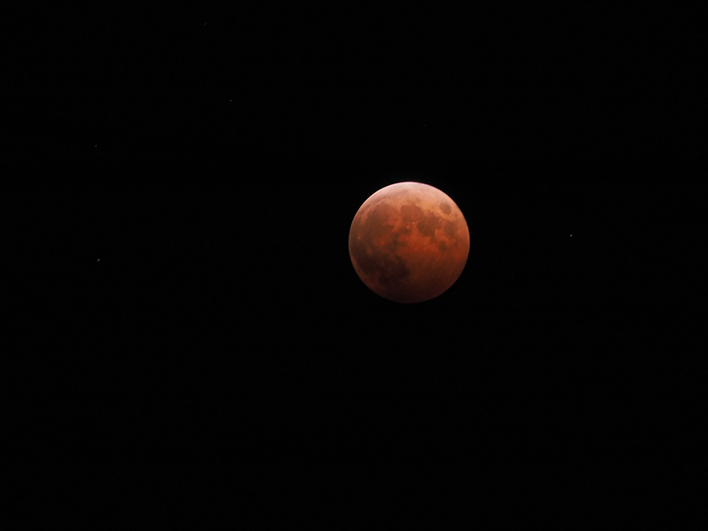 b0066154_14521074.jpg