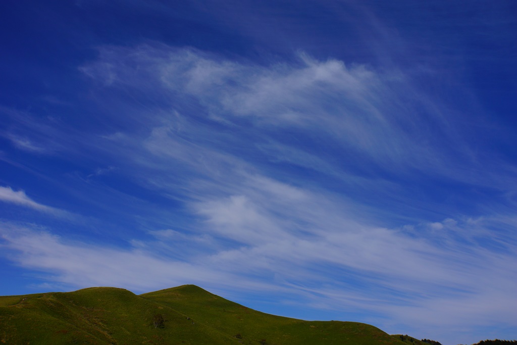 e0223456_9162122.jpg