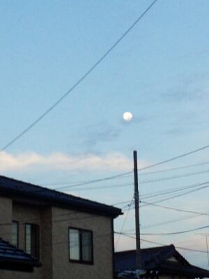 b0306158_19561568.jpg