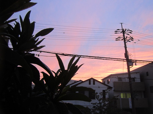 b0245877_21324099.jpg