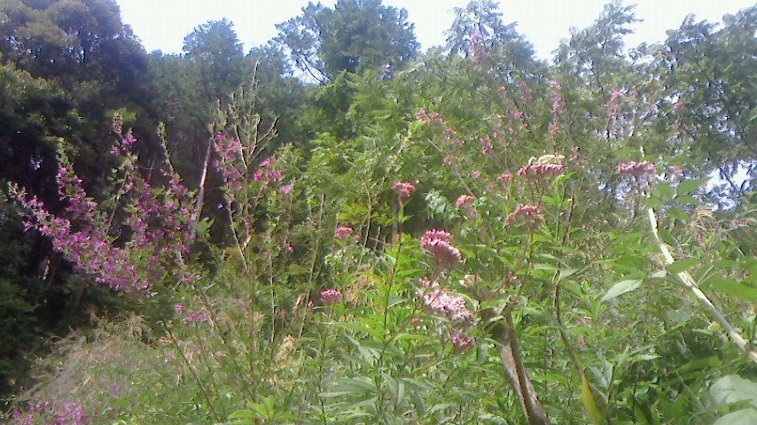 f0215179_2058813.jpg