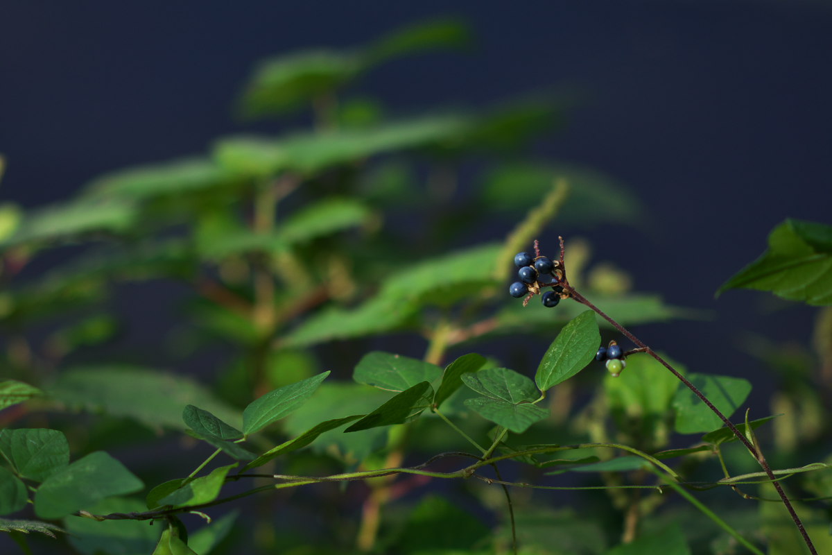 a0083081_18232953.jpg