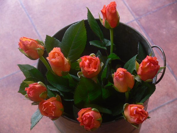 e0140986_17164099.jpg