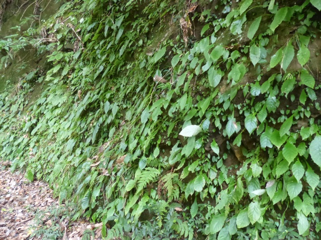 f0357487_15251.jpg