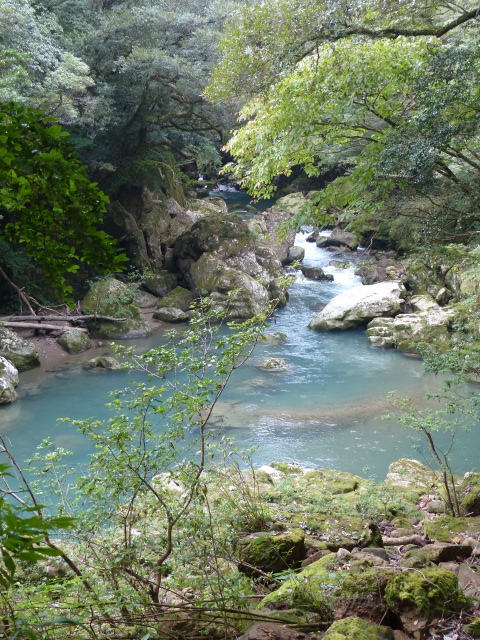f0357487_23213019.jpg