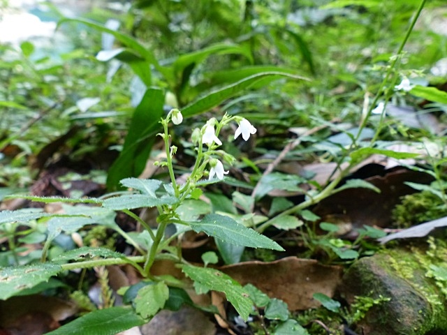 f0357487_23341691.jpg