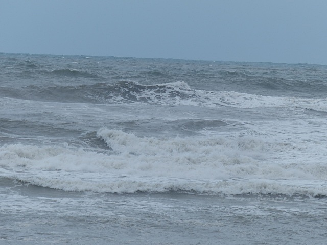 f0357487_23532021.jpg