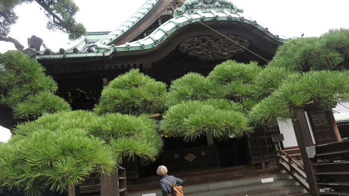 e0017688_20531079.jpg