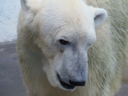f0297893_120832.jpg