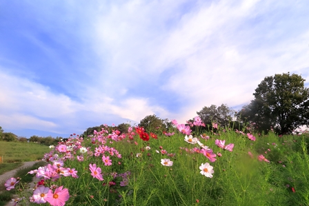 b0236595_11444155.jpg