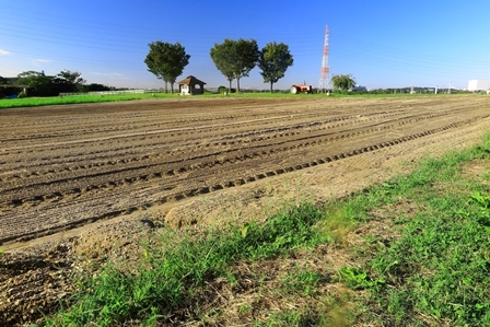 b0236595_11512015.jpg