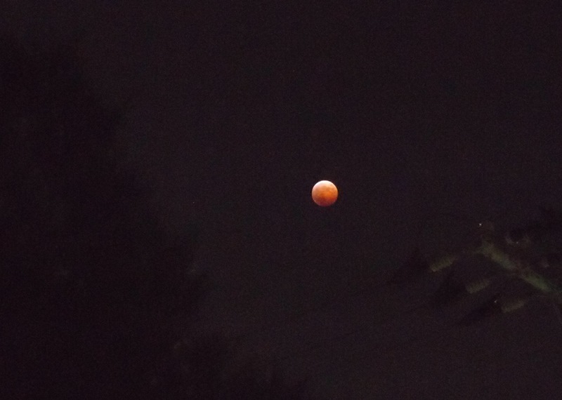 e0018604_16493996.jpg