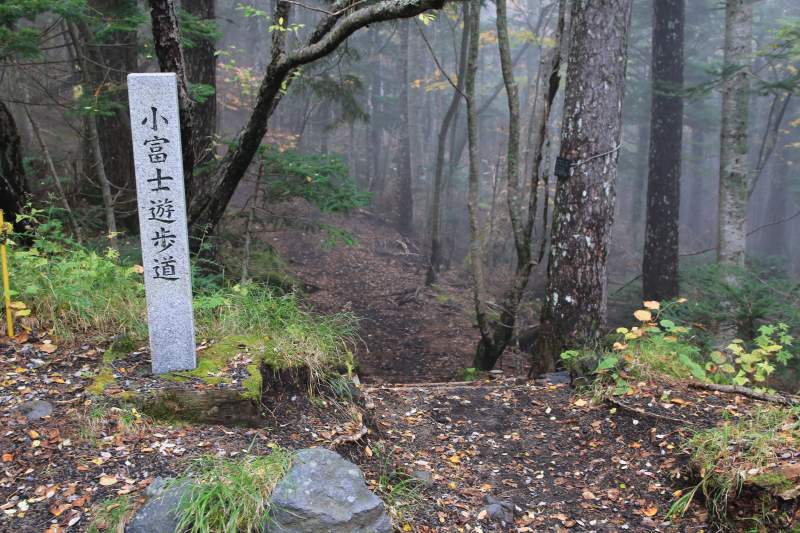a0188405_22573644.jpg