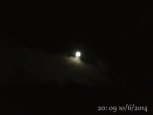 f0221708_23415893.jpg
