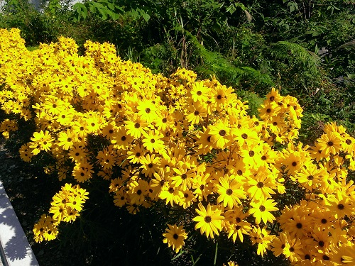 c0084117_2249347.jpg