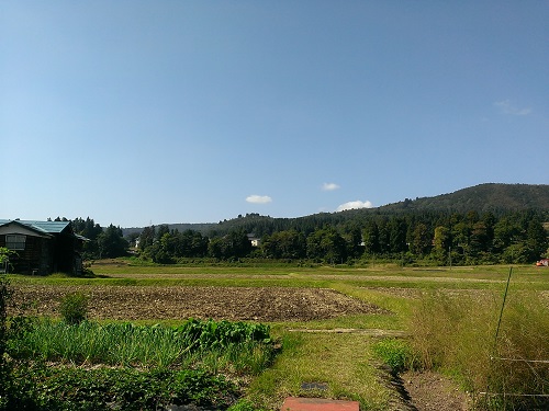 c0084117_2249650.jpg