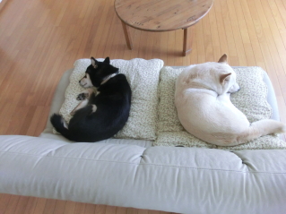 f0248120_2117836.jpg