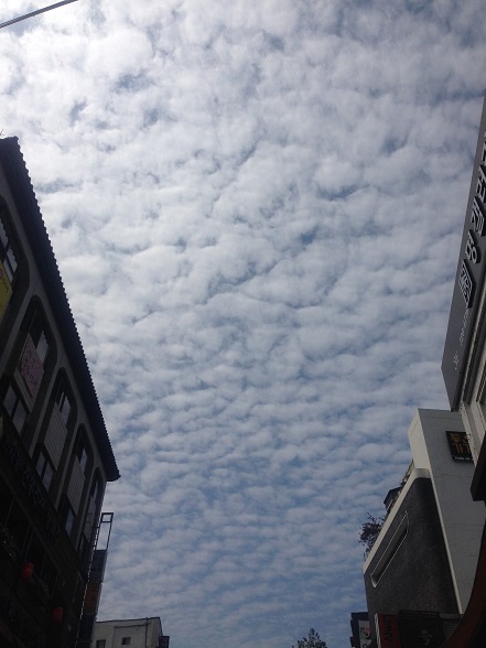 e0201021_2112978.jpg