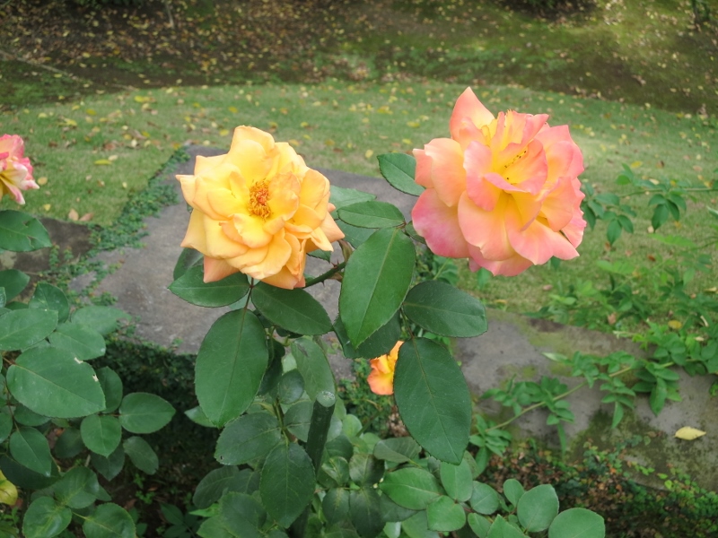 f0267023_00033150.jpg