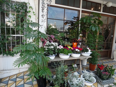 a0024829_19545211.jpg