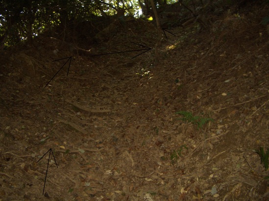 b0222530_6502223.jpg