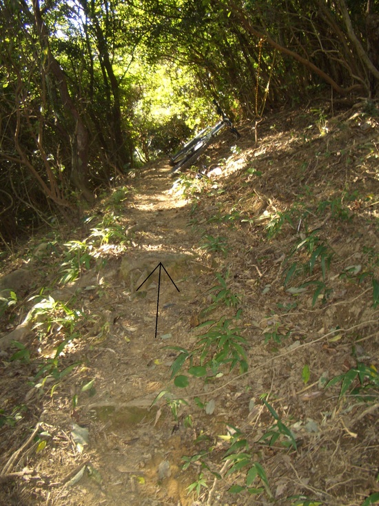b0222530_6525114.jpg
