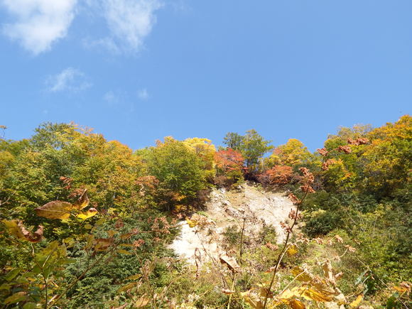 f0118332_22204348.jpg