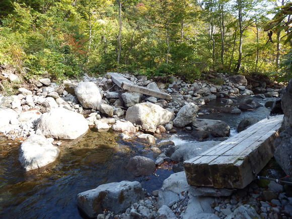f0118332_22205585.jpg