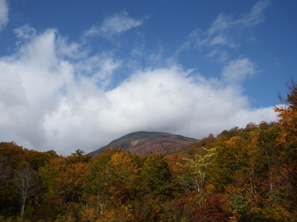 f0118332_22222095.jpg